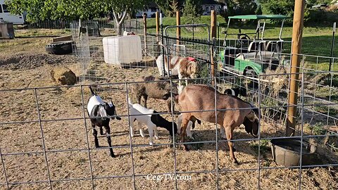 Graham Family Farm NW: 7:00 PM June 27 2025
