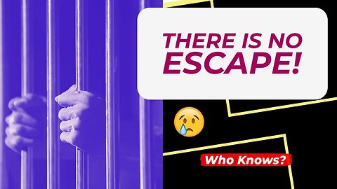 Can You Escape Flatline? 17 Months of Struggle