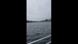 in the rain