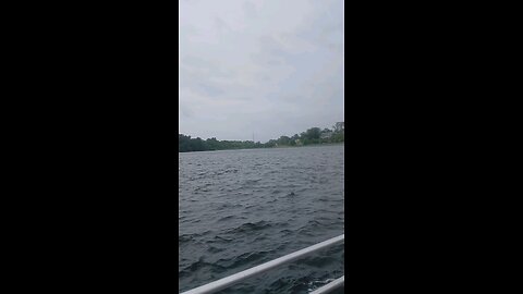 in the rain