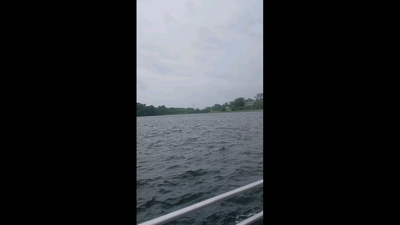 in the rain