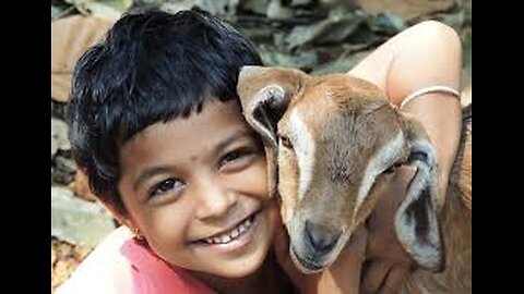 kids and animals are best friend