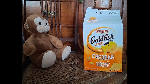 The Mysterious Disappearance of Bonzo And His Goldfish Box