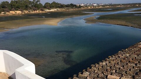 Quinta de Marim @ Ria Formosa Natural Park (Algarve, Portugal) 12