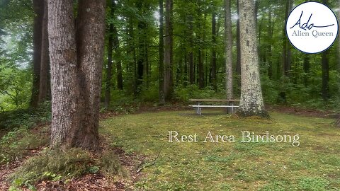 Ada Alien Queen • Bird Songs • Take #00013 • Rest Area Birdsong