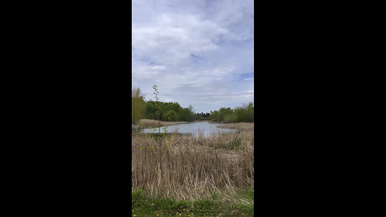 I wanted a peaceful life! 🕊️✝️🙏