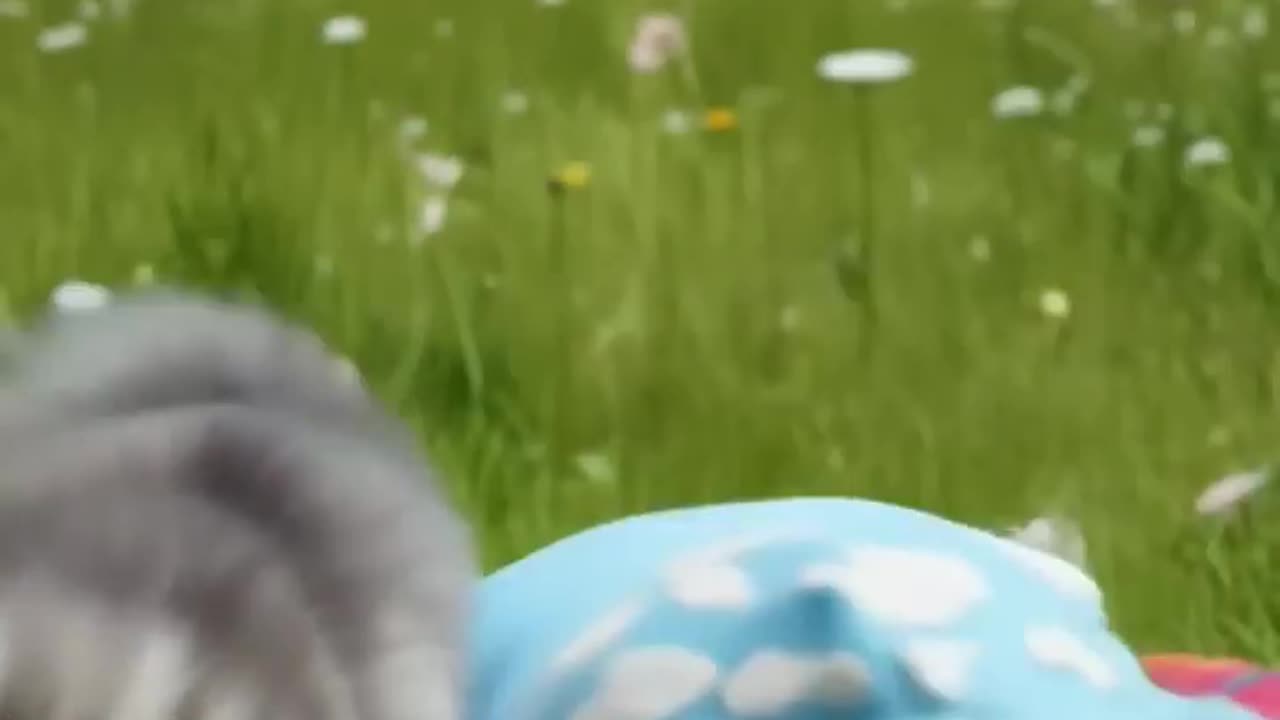 Baby's Fart Reaction 😂