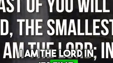 Faithful in the Little: God’s Blueprint for Elevation