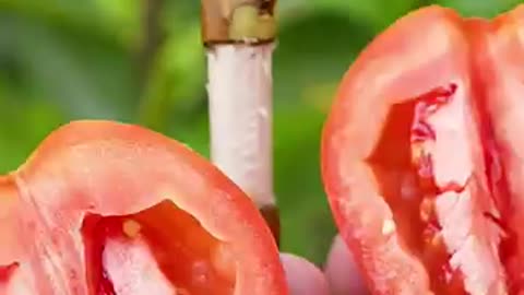 The -Absulate -Best-Way-to-Grow-Your-Lite