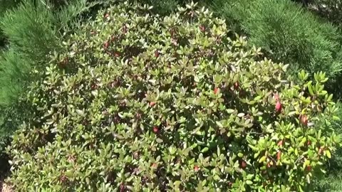 Back To Eden Garden - Full Tour - September 18, 2016