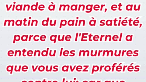 « Dieu pourvoit : la nourriture vient de Lui » Exode 16:8.#shortvideo #shorts #youtube #ytshorts #yt