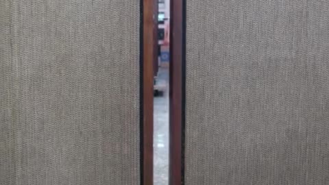 JBL C56 Dorian (Lancer 101) Speaker