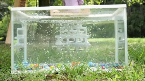 Marble Run Race ASMR ☆ Bamboo & Kunekune Somen Slider