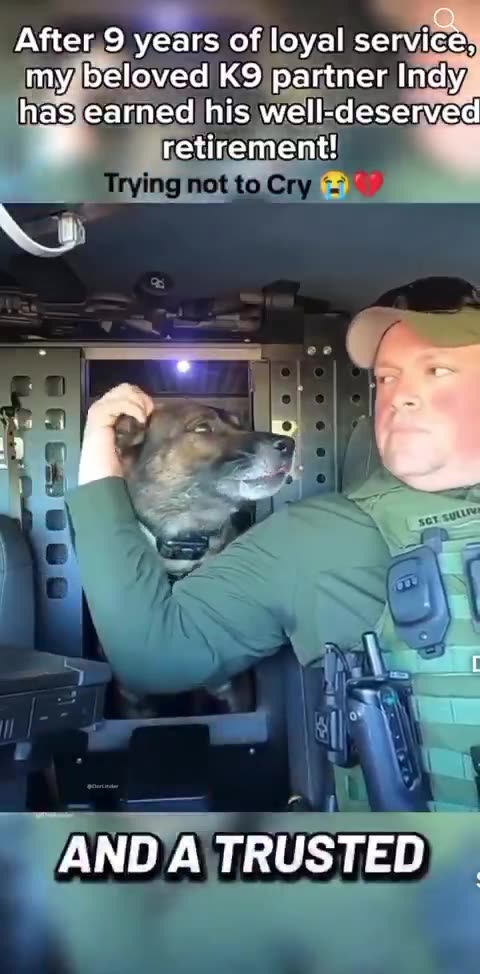 After 9 years of loyal service my beloved 😘K9 partner Indy has earned his well-deserved retirement!