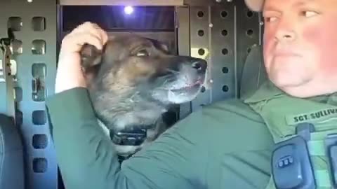 After 9 years of loyal service my beloved 😘K9 partner Indy has earned his well-deserved retirement!