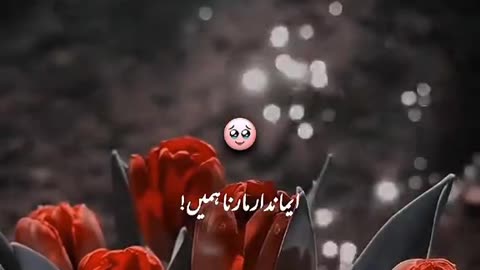 Ameen summa Ameen 😭😭🙏🏻🙏🏻🤲🏻🤲🏻🤲🏻