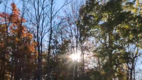 UP North Autumn Driving