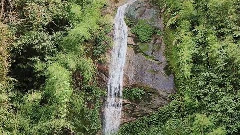 Daily Horoscope | Taurus 🌟