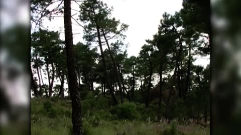 Ocho días de julio