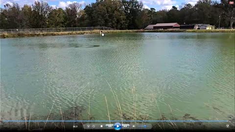 A Scriptural Discussion with the Son of Man: May 5, 2025