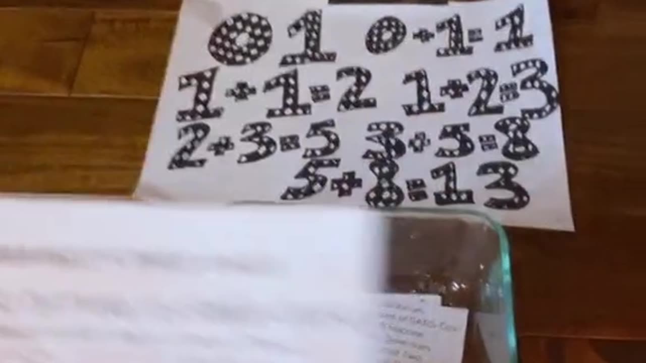 Tim Rifat TikTok Videos