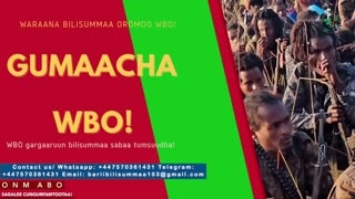 Gabaasa Gumaacha ONM-ABO Caamsaa 27-2025 itti dhiyaadhaa!