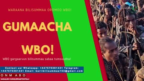 Gabaasa Gumaacha ONM-ABO Caamsaa 27-2025 itti dhiyaadhaa!