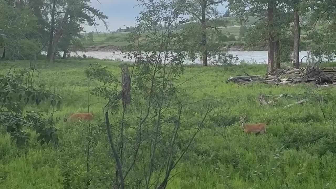 she stopped staring back...