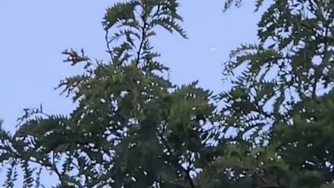 🛸👽 What's This Mysterious Object Filmed Over London, Ontario?! | UFO Sighting | TheTruthAbove