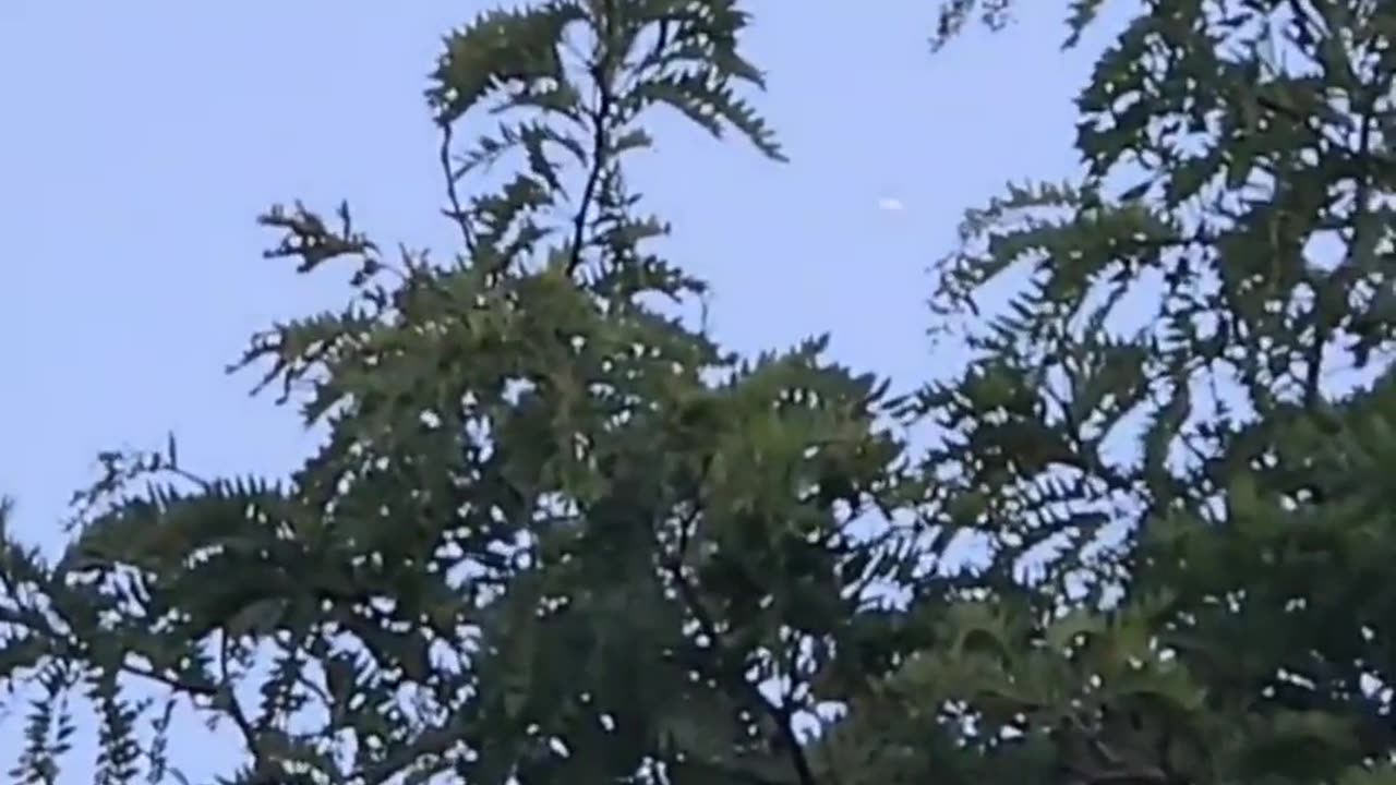 🛸👽 What's This Mysterious Object Filmed Over London, Ontario?! | UFO Sighting | TheTruthAbove