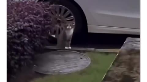 So this is a universal problem 😂😂