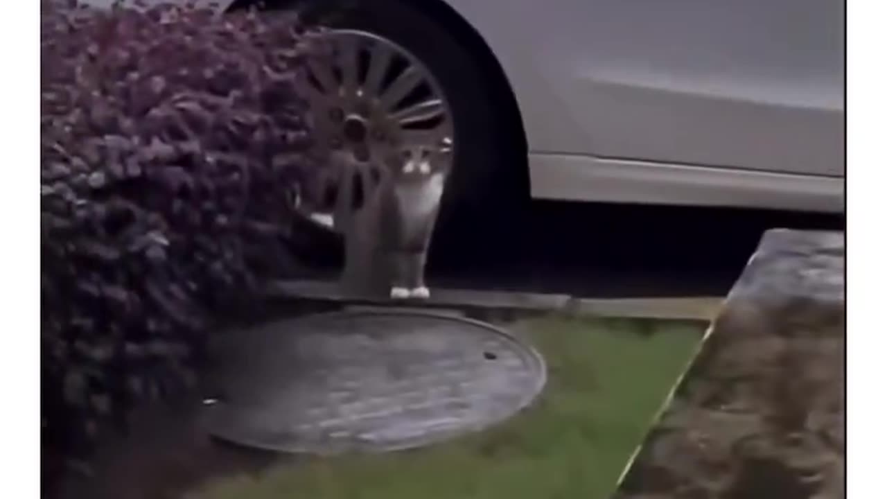 So this is a universal problem 😂😂