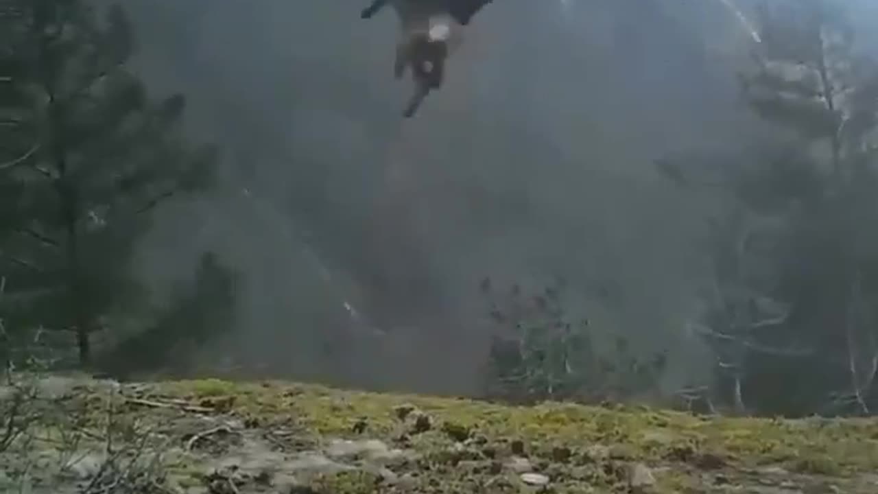 The strength of a golden eagle carrying a fox in heavy wind