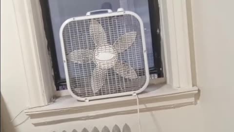 Hochul appears to squash Mayor-elect Mamdandi's fare-free bus 🚍 plan