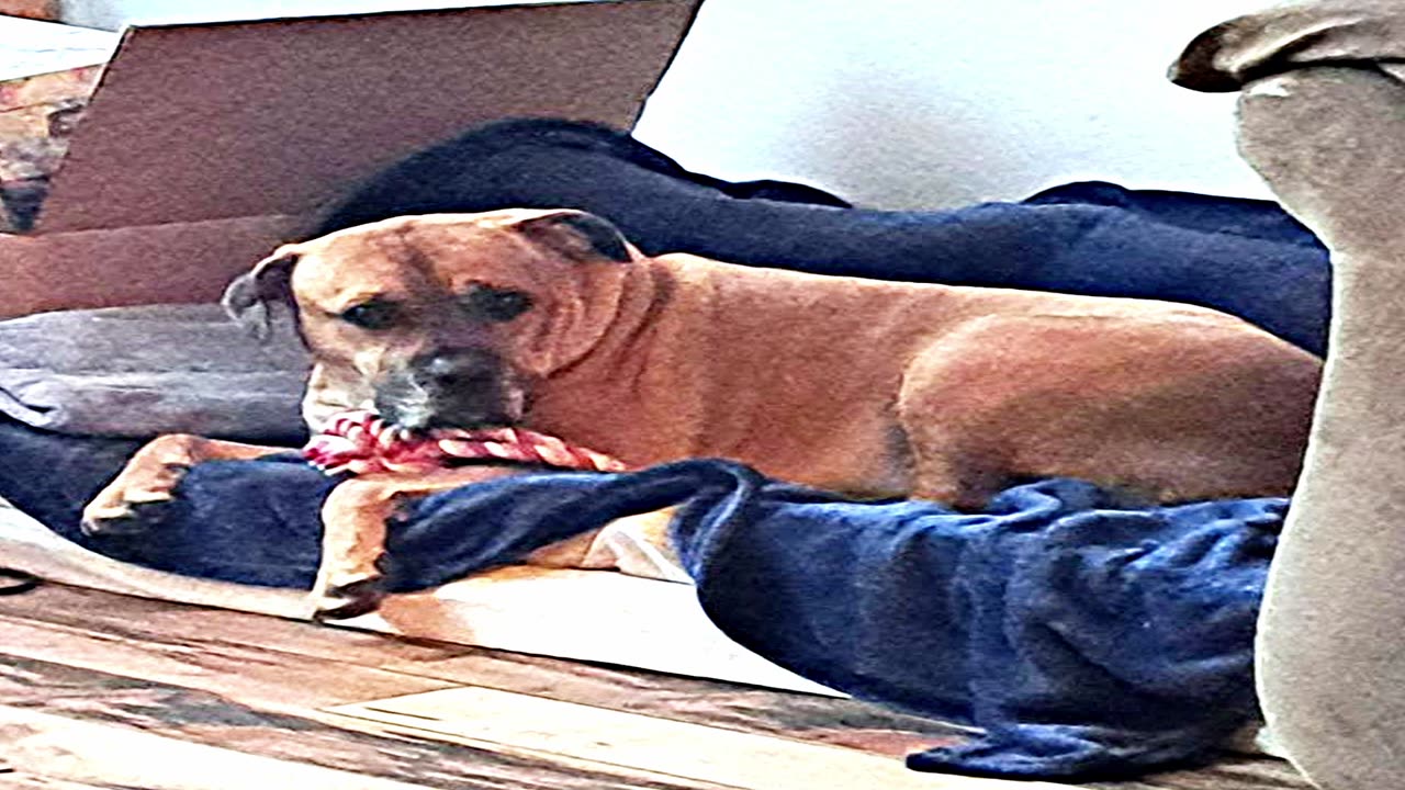 10. Rain and the Strome I Bring, History