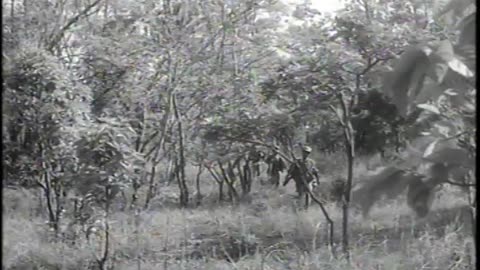 101ST DETACHMENT OF KAREN T... - 101ST DETACHMENT OF KAREN TROOPS, CHAUNGTHA () BURMA - 111-adc-4303
