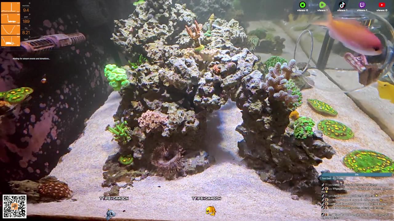 24/7 Real Live Reef Stream