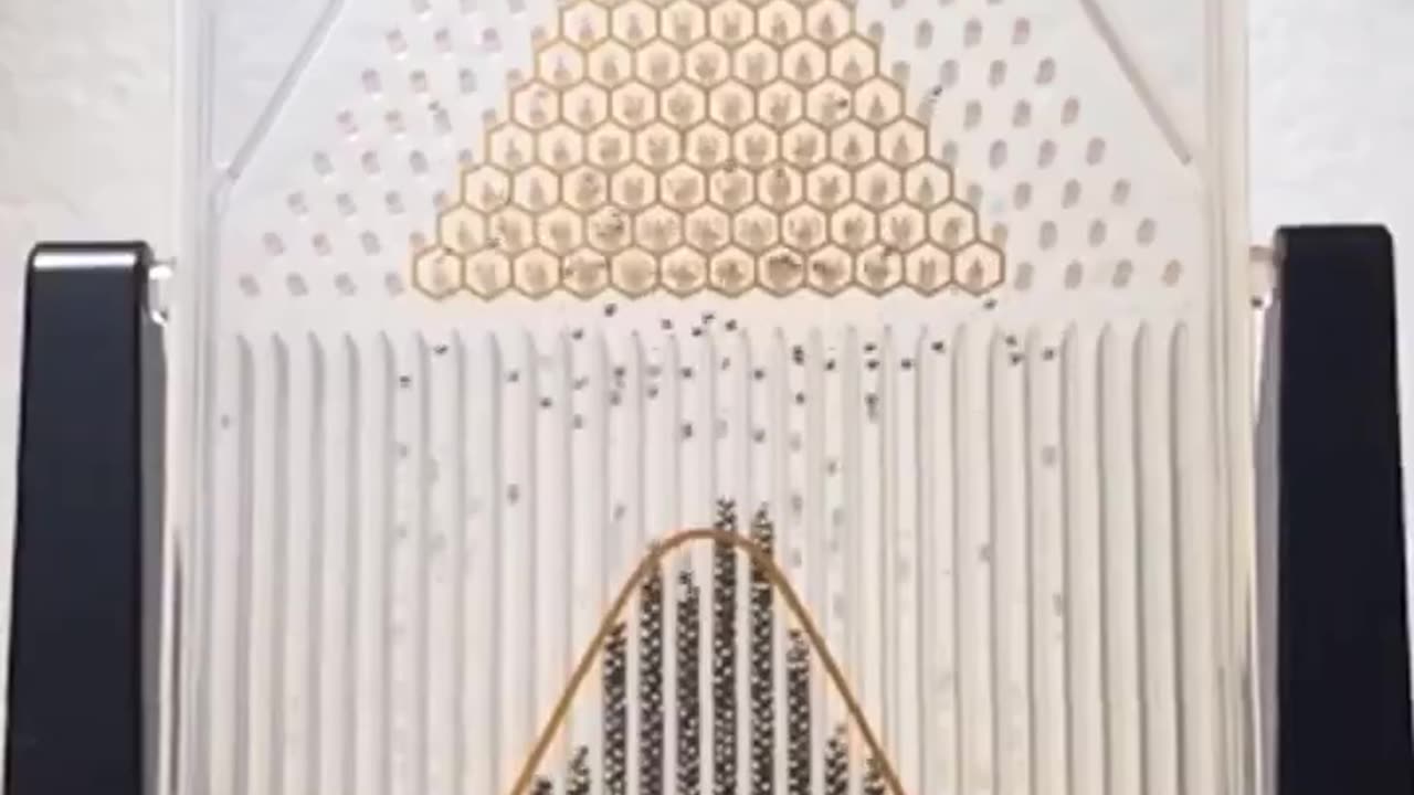The Galton Board demonstrates the Central Limit Theorem