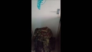 03, whats in the box, how much my bergen weighs