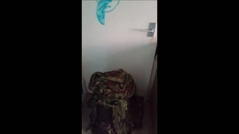 03, whats in the box, how much my bergen weighs