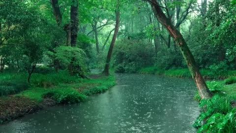 The beautiful little river is raining