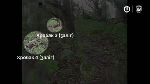 Ukrainian Drones Moving Through Vast Wilderness Looking for Game