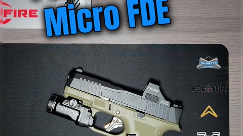 🚙🚙 AUGUST '25 EDC: Palmetto State Armory Dagger Micro FDE