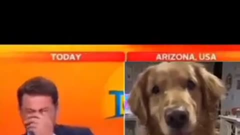 😂🤩 You Won't Believe How This Dog Reacts! | FunFM
