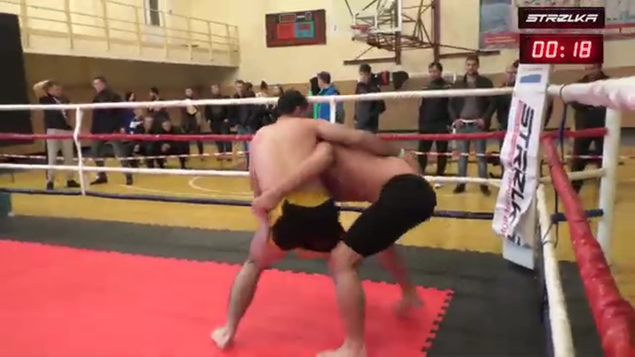 STRUGGLE OF LOCAL BISONS