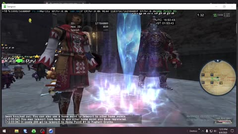 Playing Final Fantasy XI Online