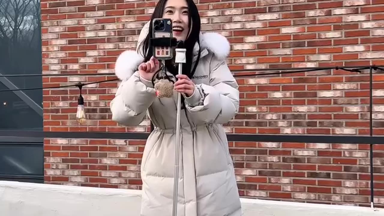 Komedy
