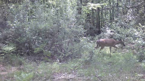 what the heck is going on in our backyard?