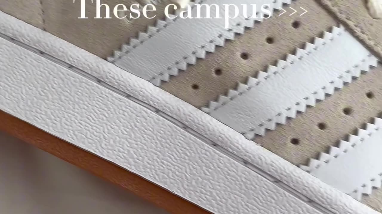 The famous adidas campus still selling on our webshop 🚀🤍