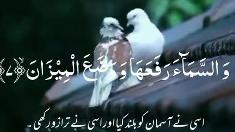 Islamic video